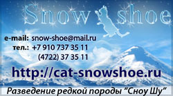 Питомник Snow Shoe